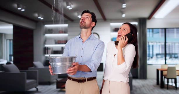 Best Residential Water Damage Restoration in Sonoma, CA